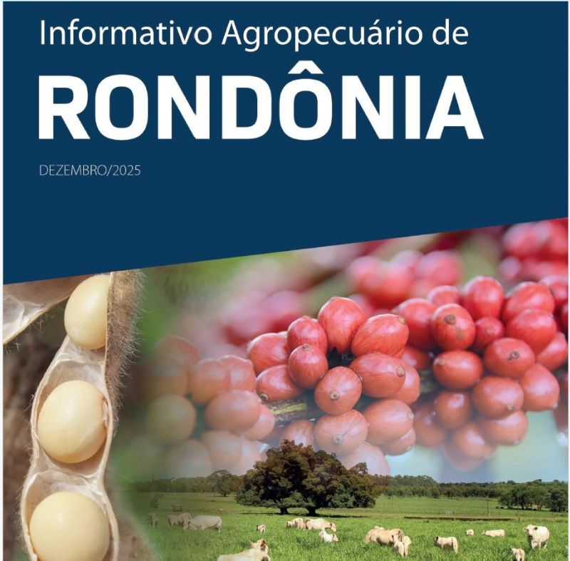 Área plantada com soja em Rondônia deve ultrapassar os 700 mil hectares na safra 2025/2026 Área plantada com soja em Rondônia deve ultrapassar os 700 mil hectares na safra 2025/2026