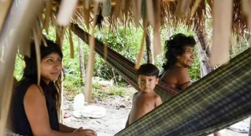 Brasil lidera número de povos isolados, mas há lacunas na proteção Brasil lidera número de povos isolados, mas há lacunas na proteção