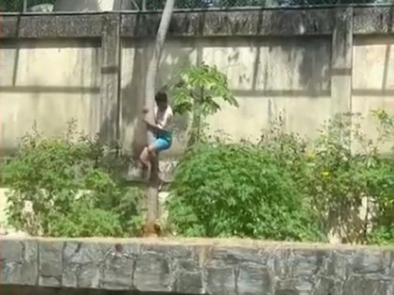 Homem morre ao invadir jaula e ser atacado por leoa em zoológico da Paraíba Homem morre ao invadir jaula e ser atacado por leoa em zoológico da Paraíba