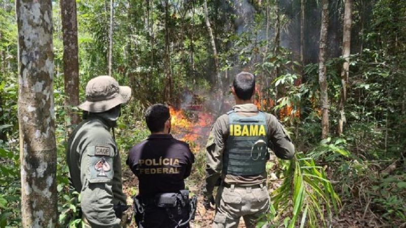REDES CRIMINOSAS: Combate ao desmatamento pode evitar mais de 1,4 mil mortes por ano na Amazônia REDES CRIMINOSAS: Combate ao desmatamento pode evitar mais de 1,4 mil mortes por ano na Amazônia
