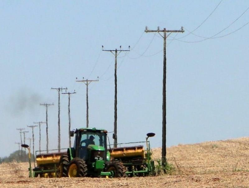 Segurança no campo: 80% das mortes envolvendo rede elétrica em Rondônia ocorreram na zona rural; Energisa reforça orientações Segurança no campo: 80% das mortes envolvendo rede elétrica em Rondônia ocorreram na zona rural; Energisa reforça orientações