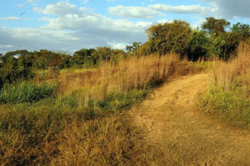 Após manifestação do MPF, Justiça reconhece fazenda em Rondônia como área pública para programas de reforma agrária Após manifestação do MPF, Justiça reconhece fazenda em Rondônia como área pública para programas de reforma agrária