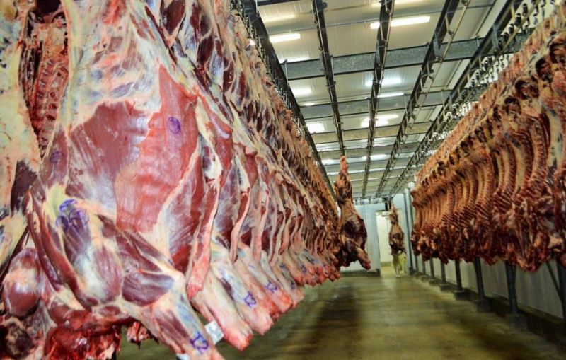GUERRA NO IRÃ: Conflito afeta exportações de carne e atinge cadeia produtiva de Rondônia GUERRA NO IRÃ: Conflito afeta exportações de carne e atinge cadeia produtiva de Rondônia