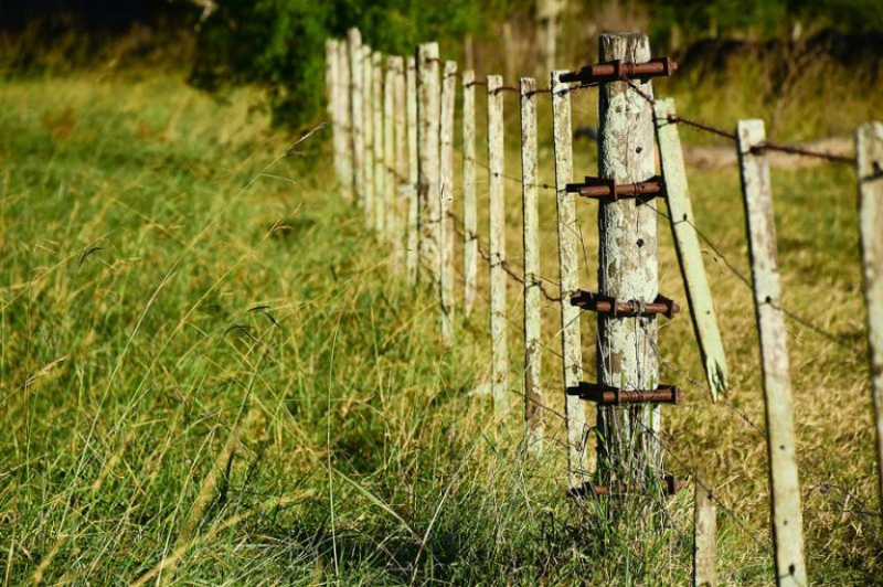 MPF recomenda que Incra defina se área de imóvel rural em Nova Brasilândia (RO) voltará a ser terra pública MPF recomenda que Incra defina se área de imóvel rural em Nova Brasilândia (RO) voltará a ser terra pública