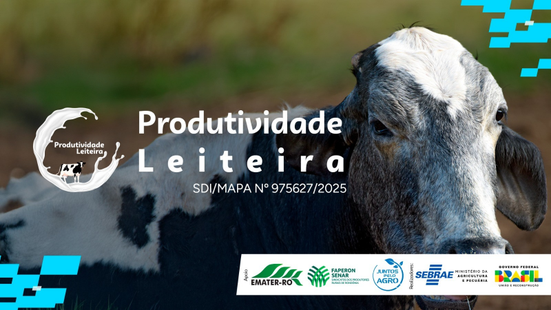 Sebrae em Rondônia lança Projeto de Produtividade Leiteira em Ariquemes Sebrae em Rondônia lança Projeto de Produtividade Leiteira em Ariquemes