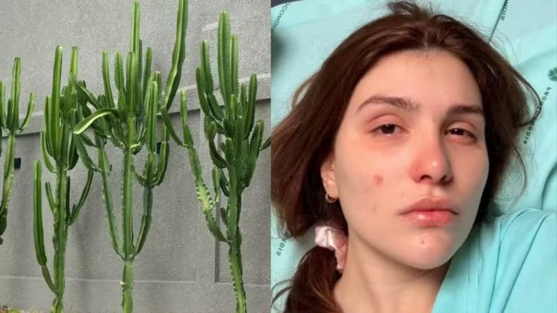 Influenciadora vai parar no hospital após líquido de planta atingir os olhos em RO: Influenciadora vai parar no hospital após líquido de planta atingir os olhos em RO: