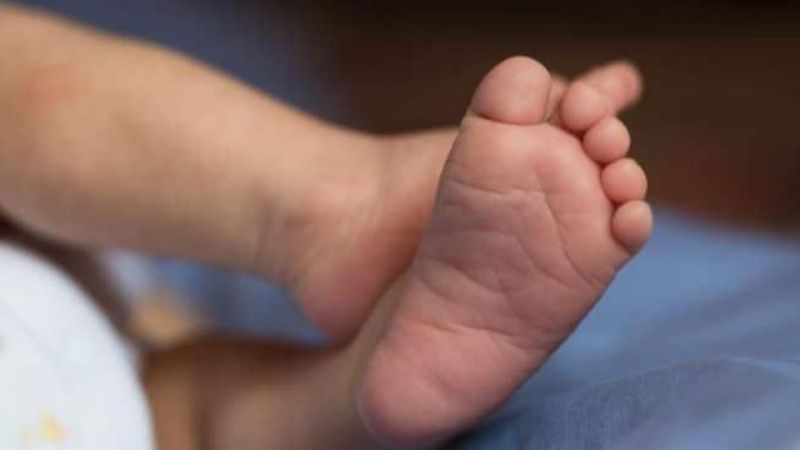 Bebê morre após ser atingido na cabeça por bisturi durante o parto Bebê morre após ser atingido na cabeça por bisturi durante o parto