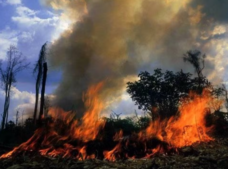 Homem morre enquanto tentava apagar incêndio em pastagem na zona rural de Nova União Homem morre enquanto tentava apagar incêndio em pastagem na zona rural de Nova União