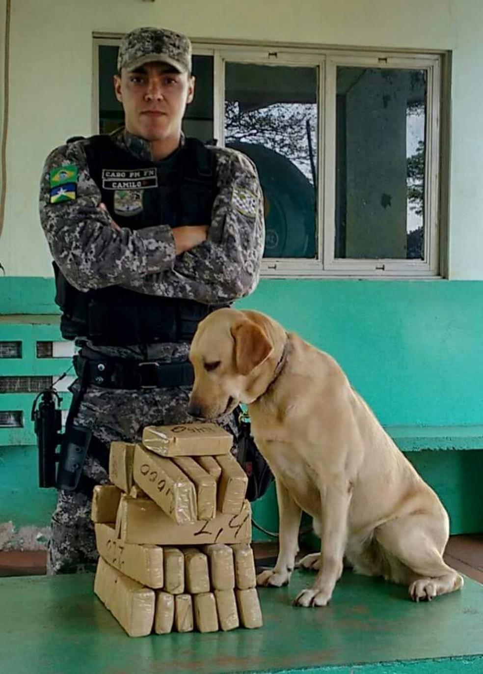 Cadela da PM ajuda na apreensão de quase meio quilo de droga em Cacoal, RO