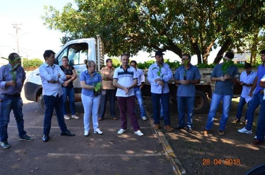 Rolim de Moura: Agricultores familiares recebem mudas de Café Clonal