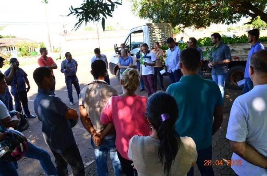 Rolim de Moura: Agricultores familiares recebem mudas de Café Clonal