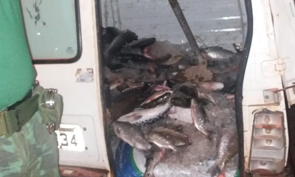 Mais de duas toneladas de peixes sÃ£o apreendidos pela PolÃ­cia Ambiental de RO