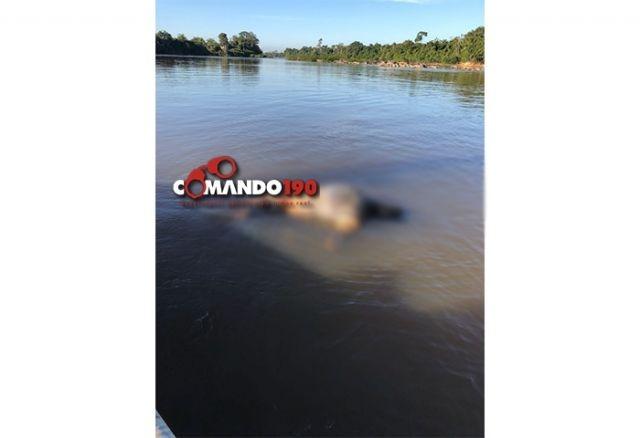 RONDÔNIA: Corpo de jovem que desapareceu durante pescaria no Rio Machado é encontrado boiando RONDÔNIA: Corpo de jovem que desapareceu durante pescaria no Rio Machado é encontrado boiando