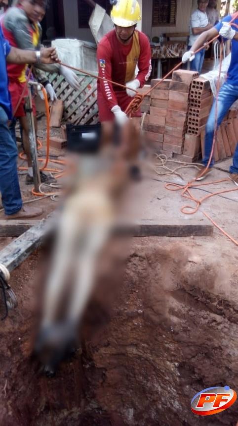 Corpo de Idoso desaparecido é retirado de poço após três dias de trabalho em Rolim de Moura Corpo de Idoso desaparecido é retirado de poço após três dias de trabalho em Rolim de Moura