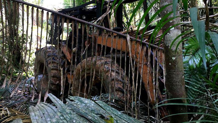 KURARITINGA: Operação conjunta é deflagrada em área indígena para coibir extração de madeira KURARITINGA: Operação conjunta é deflagrada em área indígena para coibir extração de madeira