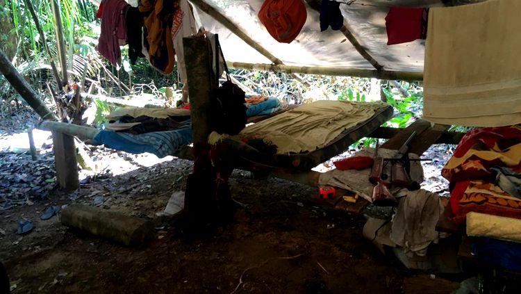 KURARITINGA: Operação conjunta é deflagrada em área indígena para coibir extração de madeira KURARITINGA: Operação conjunta é deflagrada em área indígena para coibir extração de madeira