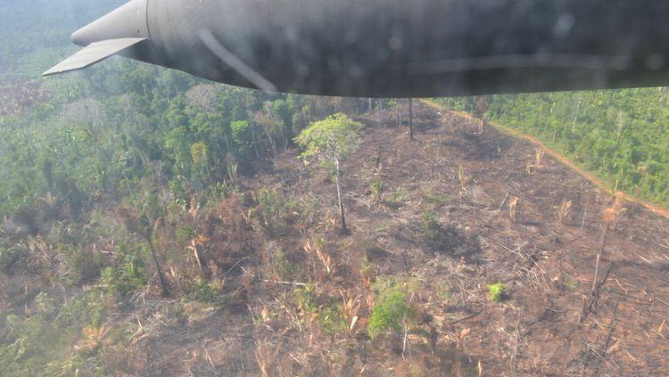 KURARITINGA: Operação conjunta é deflagrada em área indígena para coibir extração de madeira KURARITINGA: Operação conjunta é deflagrada em área indígena para coibir extração de madeira