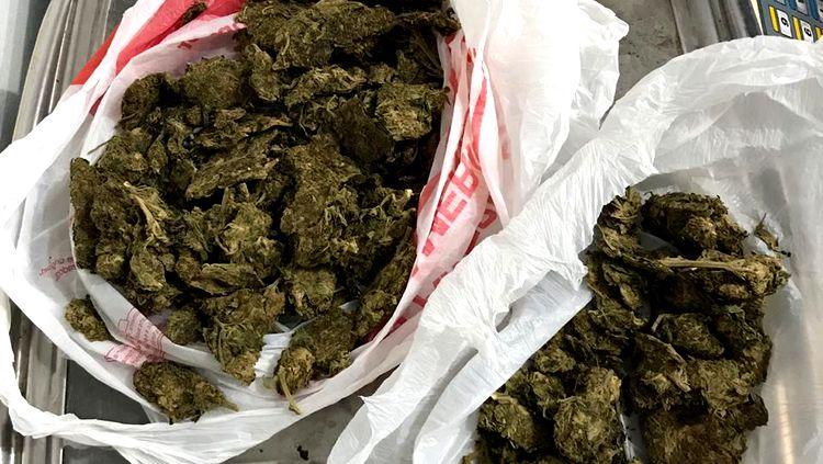 ECSTASY E LSD: Denarc prende um dos maiores traficantes de drogas sintéticas de PVH ECSTASY E LSD: Denarc prende um dos maiores traficantes de drogas sintéticas de PVH