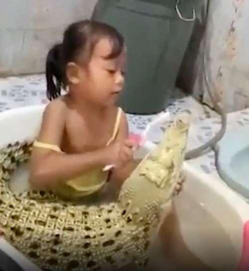 Criança que vive, come e dorme com crocodilo é fotografada escovando os dentes do animal