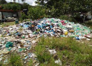 Idoso acumula lixo em quintal de casa, traz risco de doenças e revolta moradores do Jardim Vilhena Idoso acumula lixo em quintal de casa, traz risco de doenças e revolta moradores do Jardim Vilhena