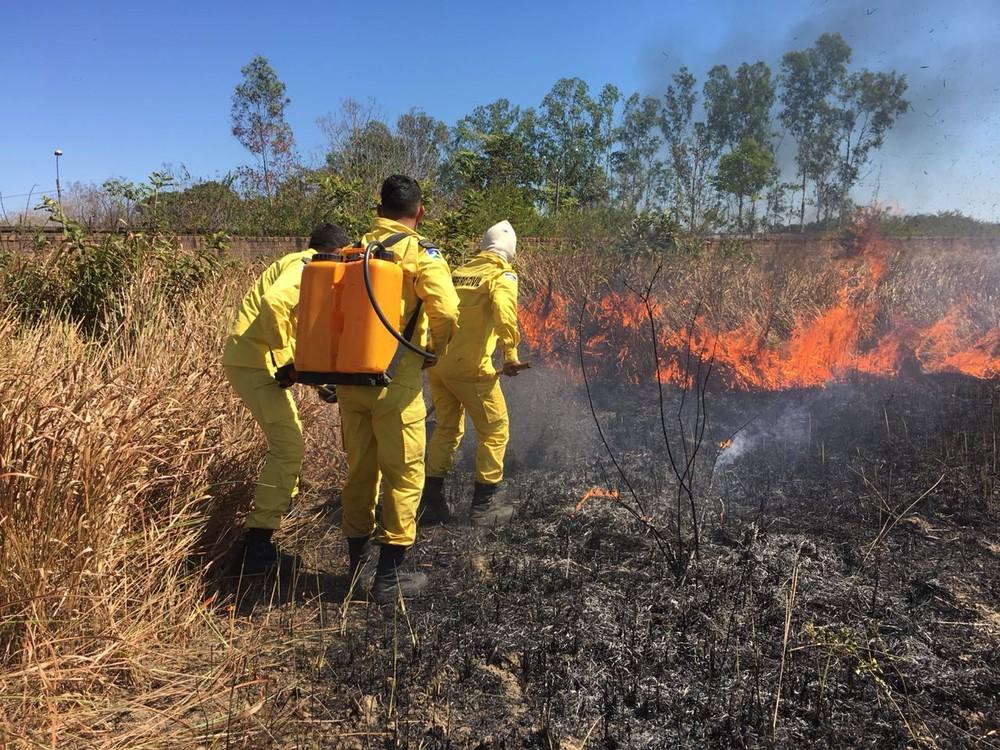 Focos de calor em RO crescem mais de 90% nos 4 primeiros meses de 2019, diz Inpe Focos de calor em RO crescem mais de 90% nos 4 primeiros meses de 2019, diz Inpe