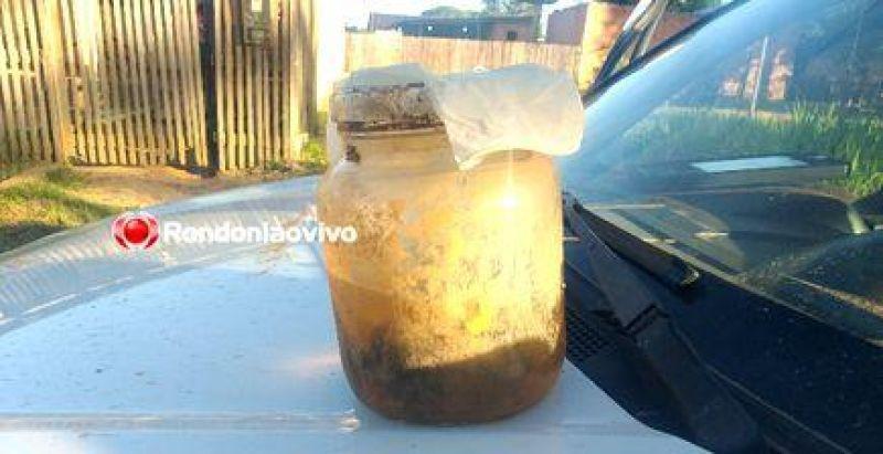 URGENTE: Crianças acham feto enquanto brincavam dentro de mata URGENTE: Crianças acham feto enquanto brincavam dentro de mata