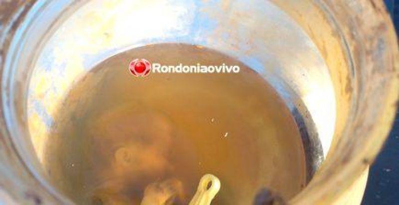 URGENTE: Crianças acham feto enquanto brincavam dentro de mata URGENTE: Crianças acham feto enquanto brincavam dentro de mata