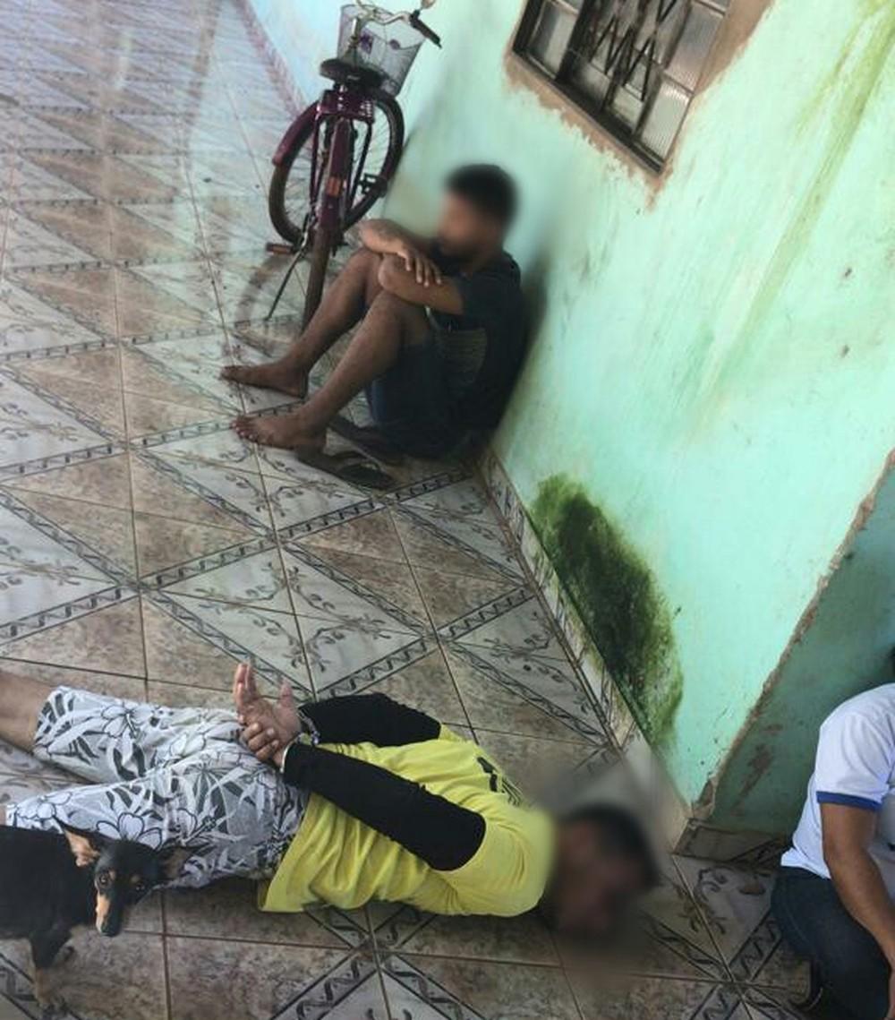 Tartarugas e jabutis são resgatados em boca de fumo de RO; um traficante é preso Tartarugas e jabutis são resgatados em boca de fumo de RO; um traficante é preso