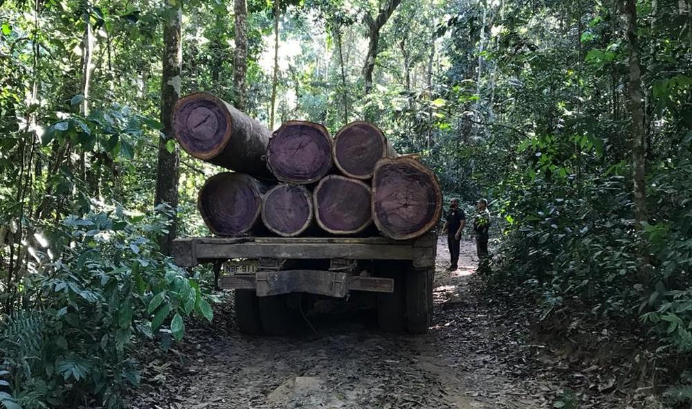 PF prende 9 pessoas durante fiscalização ambiental em terra indígena de RO PF prende 9 pessoas durante fiscalização ambiental em terra indígena de RO