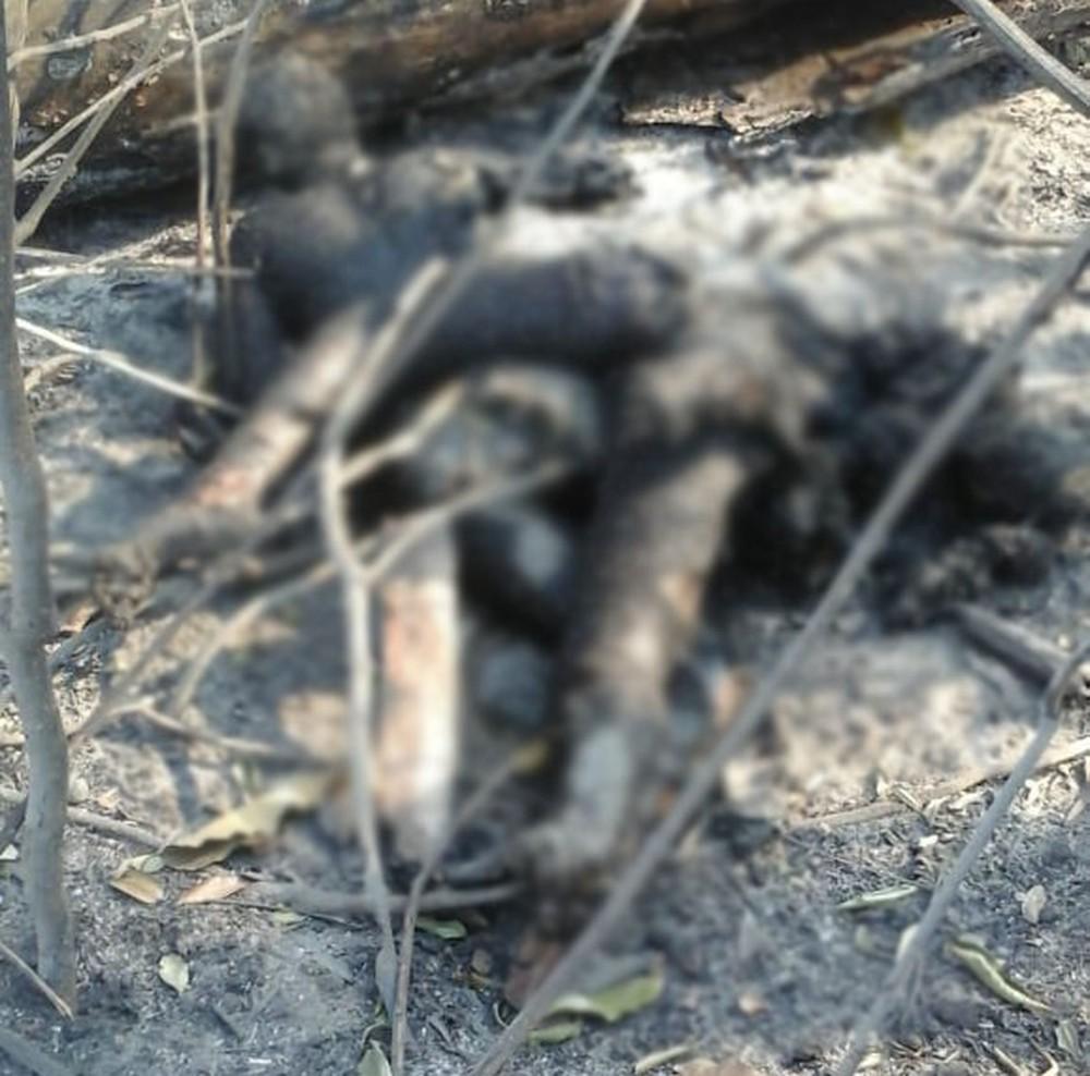 Casal morre abraçado ao tentar fugir de queimada em RO Casal morre abraçado ao tentar fugir de queimada em RO