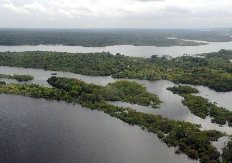MEIO AMBIENTE: Ibama lança edital para contratar empresa que monitore desmatamento