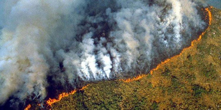 Fake News: fotos supostamente tiradas nas queimadas da Amazônia são de 2017 Fake News: fotos supostamente tiradas nas queimadas da Amazônia são de 2017