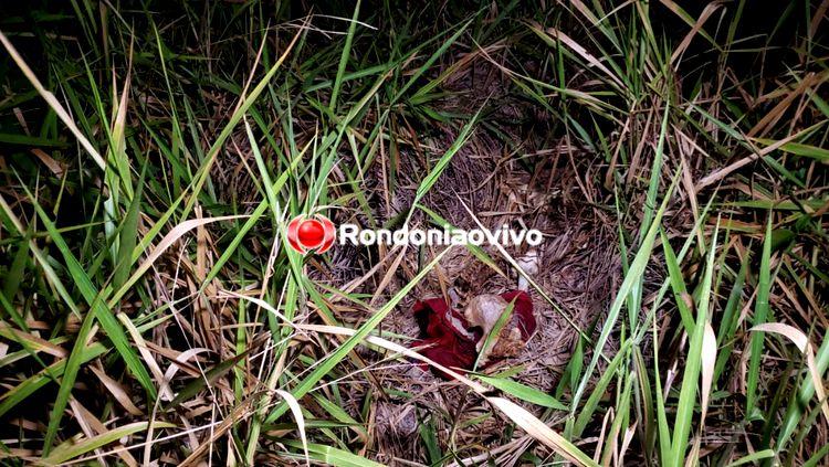 Ossada humana é encontrada por sitiante próxima de balneário em Porto Velho Ossada humana é encontrada por sitiante próxima de balneário em Porto Velho