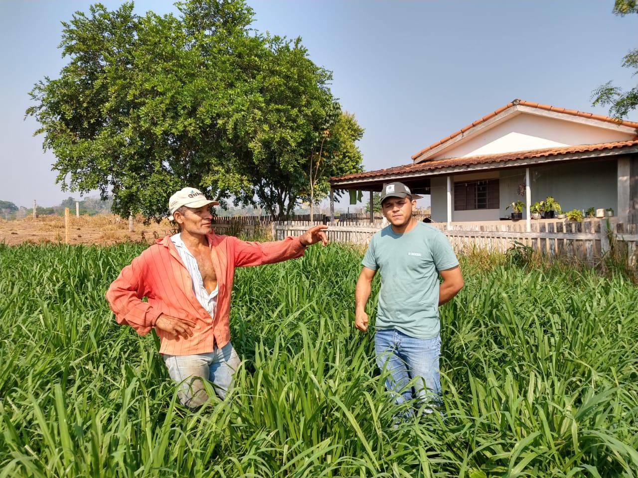 Agricultores de Rolim de Moura realizam visita técnica em propriedade de São Felipe que utiliza pastejo rotacionado Agricultores de Rolim de Moura realizam visita técnica em propriedade de São Felipe que utiliza pastejo rotacionado