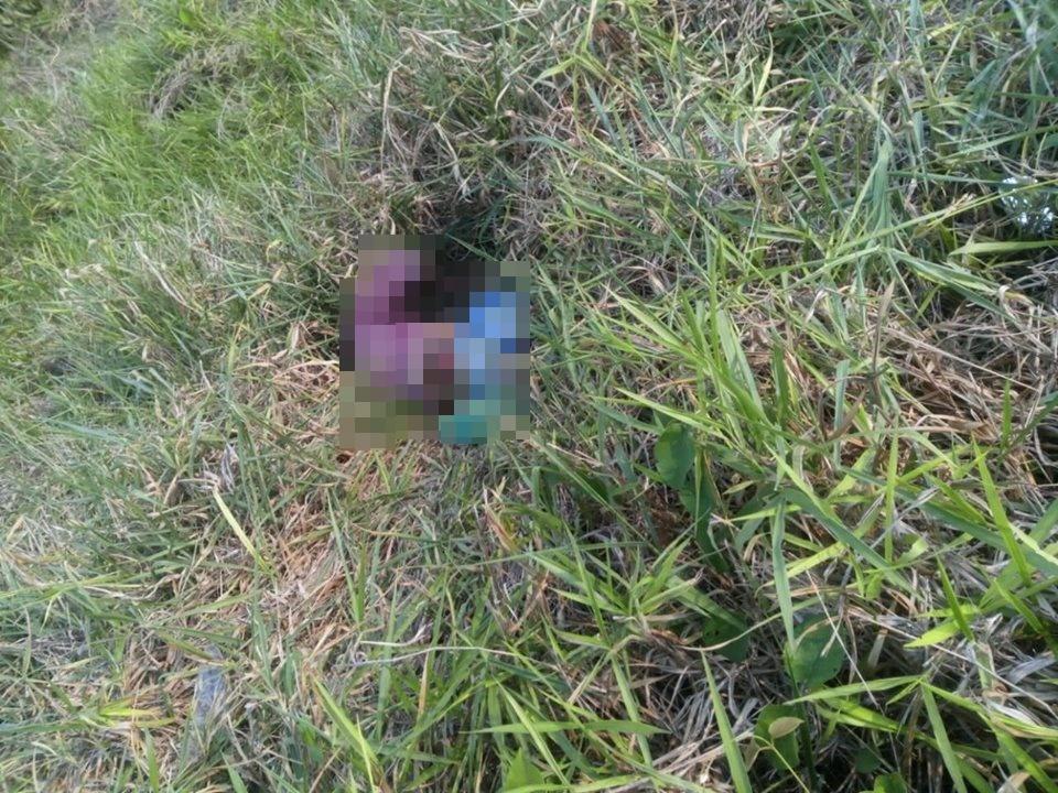 Homem é encontrado morto dois dias depois de sofrer acidente na BR-429 em São Domingos do Guaporé