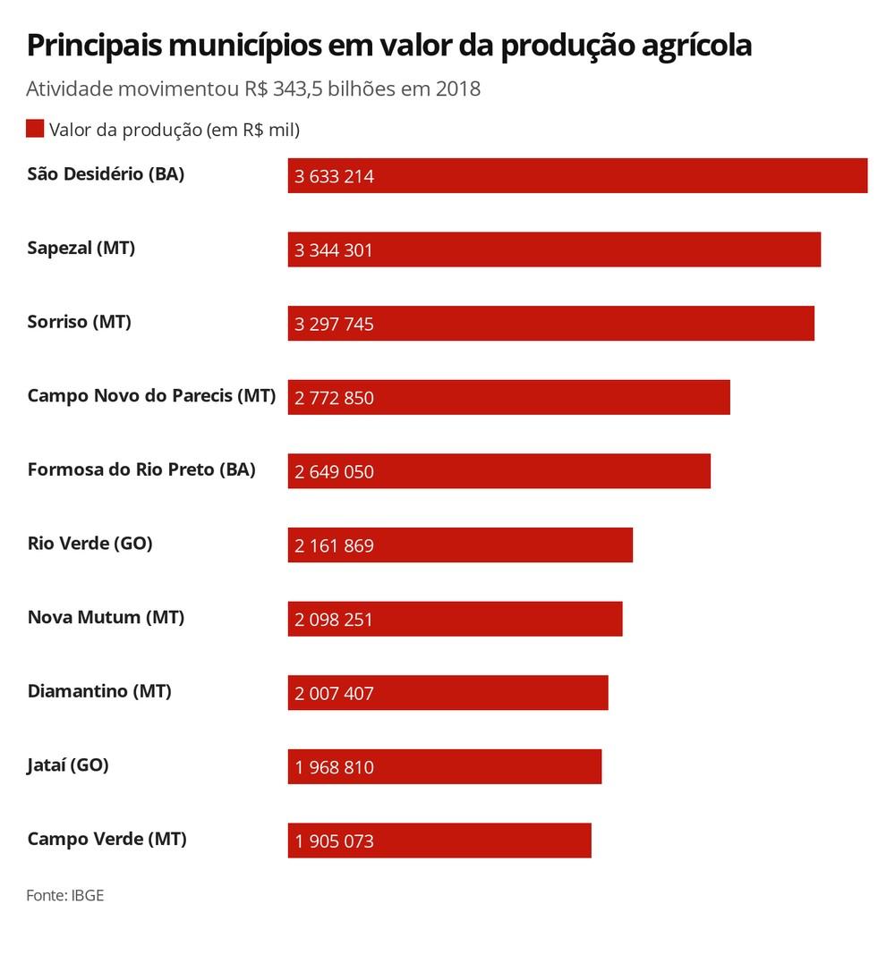 Rondônia fica no top 3 dos estados que mais produziram café Rondônia fica no top 3 dos estados que mais produziram café