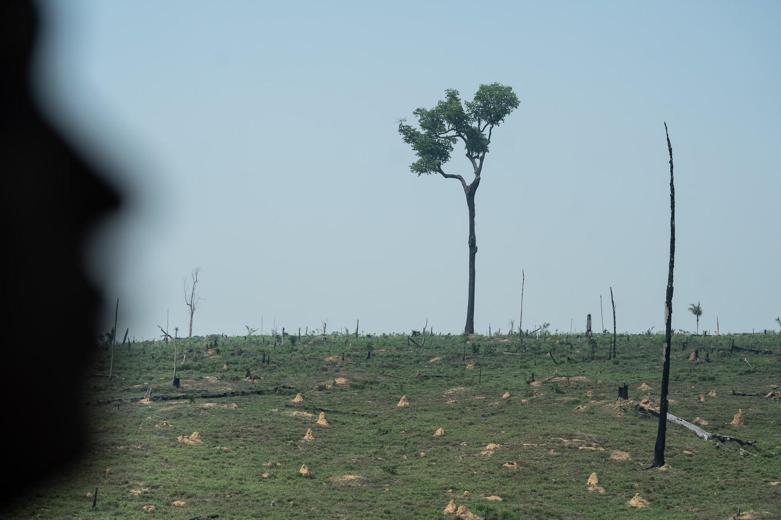 Na terra indígena mais ameaçada do Brasil, base da Funai é destruída, e ninguém sabe quem cometeu o crime Na terra indígena mais ameaçada do Brasil, base da Funai é destruída, e ninguém sabe quem cometeu o crime