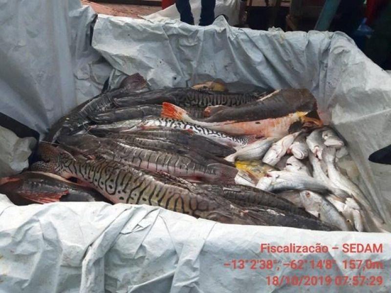 Alta Floresta- Barco, motor, material de pesca e cerca de 681 kg de peixes foram apreendidos pela Polícia Militar Ambiental e SEDAM em pesca ilegal