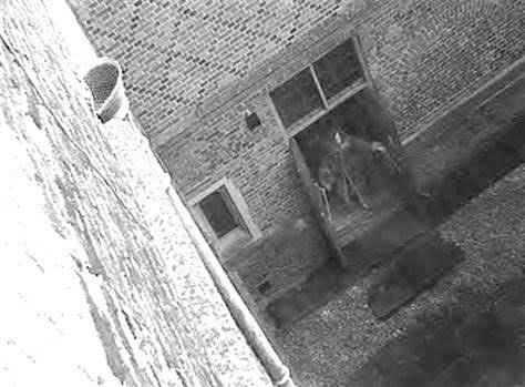 MAIS CURIOSIDADES: 5 APARIÇÕES DE FANTASMAS CAPTURADAS POR CÂMERAS