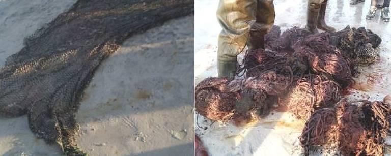 Baleia é encontrada morta com 100 kg de lixo no estômago Baleia é encontrada morta com 100 kg de lixo no estômago