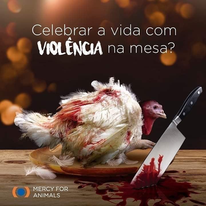 Após peru, Xuxa faz apelo a favor dos porcos: “Sem morte na mesa” Após peru, Xuxa faz apelo a favor dos porcos: “Sem morte na mesa”