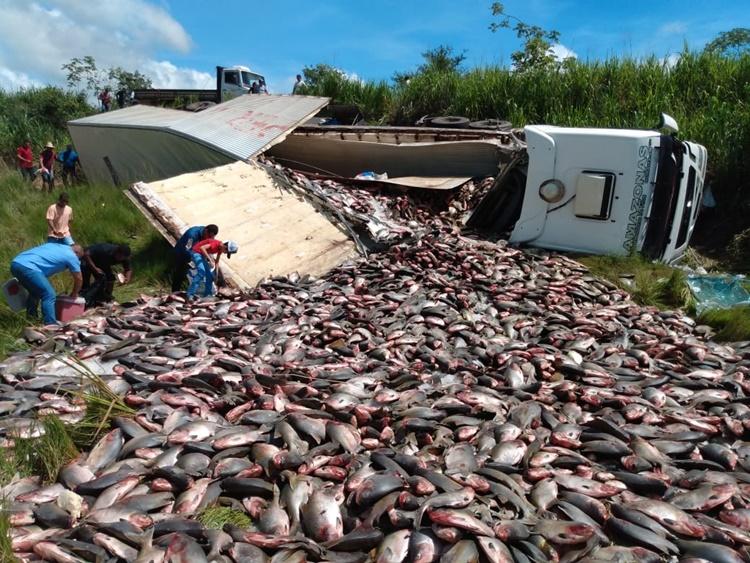 Carreta carregada de peixes tomba na BR-364 em Presidente Médice
