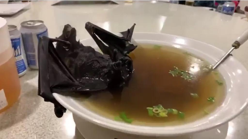 Sopa de morcego pode ter disseminado coronavírus na China Sopa de morcego pode ter disseminado coronavírus na China