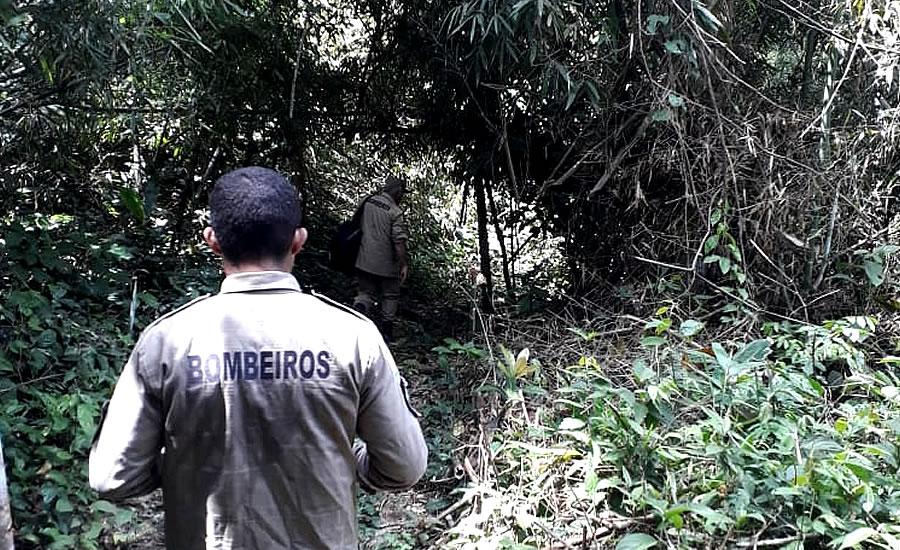 Bombeiros retomam buscas em floresta por avião que pode ter caído no Acre com ajuda de paramotor Bombeiros retomam buscas em floresta por avião que pode ter caído no Acre com ajuda de paramotor