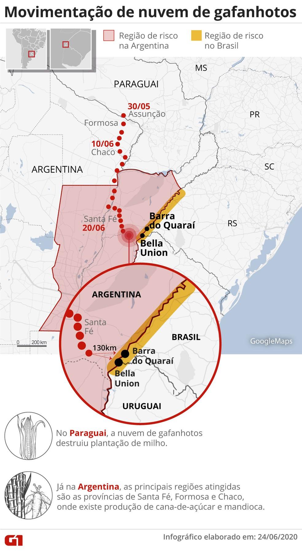 Nuvem de gafanhotos está a 130 km do Brasil e do Uruguai, diz governo da Argentina Nuvem de gafanhotos está a 130 km do Brasil e do Uruguai, diz governo da Argentina