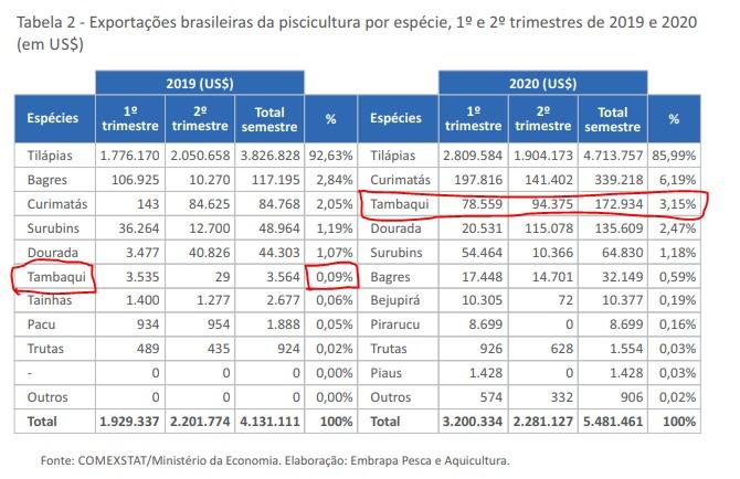 Tambaqui é o terceiro peixe mais exportado pelo Brasil  