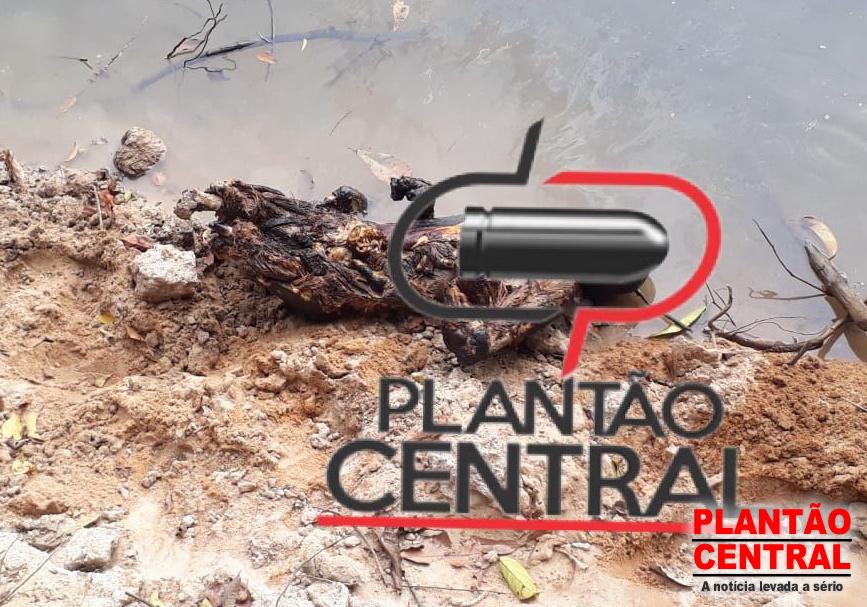 IMAGEM FORTE: Homem é assassinado e tem o corpo carbonizado na zona rural de Mirante da Serra IMAGEM FORTE: Homem é assassinado e tem o corpo carbonizado na zona rural de Mirante da Serra