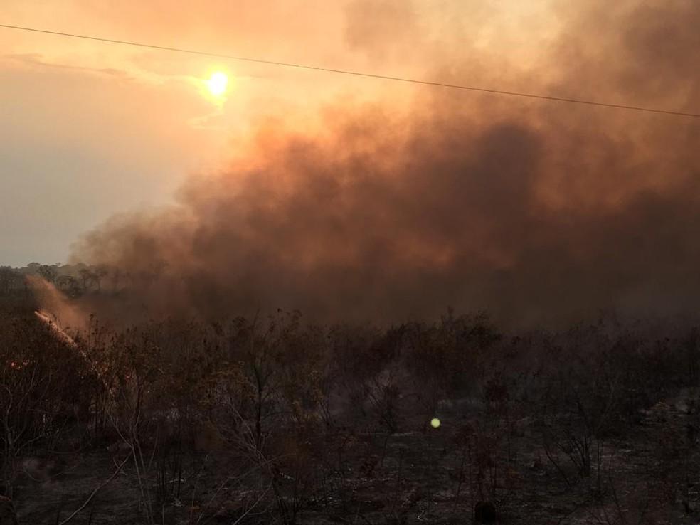 Bombeiros tentam apagar incêndio em pastagem há 5 dias em Pimenta Bueno Bombeiros tentam apagar incêndio em pastagem há 5 dias em Pimenta Bueno