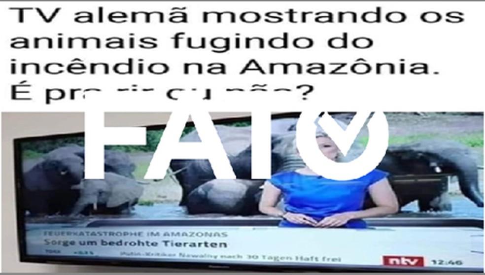 Ao falar sobre queimadas no Brasil, TV alemã mostra elefantes fugindo do fogo Ao falar sobre queimadas no Brasil, TV alemã mostra elefantes fugindo do fogo