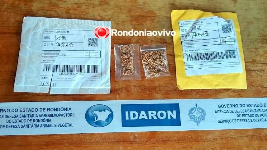 Morador de Rondônia recebe dos Correios sementes misteriosas vindas da China